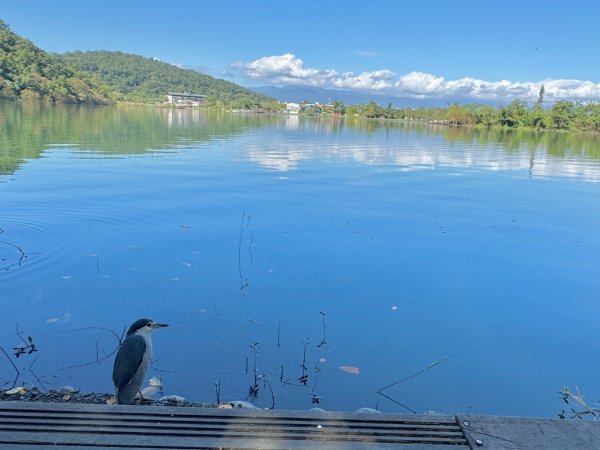 生態環境豐富的仁山植物園 感受鑑湖秋月-梅花湖的魅力2953858