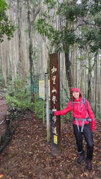 20230730 苗栗加里山午後雷陣雨篇（中級山小百岳）2235180