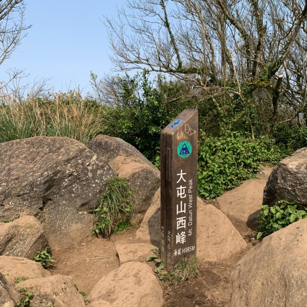 台北大縱走第二段1635045