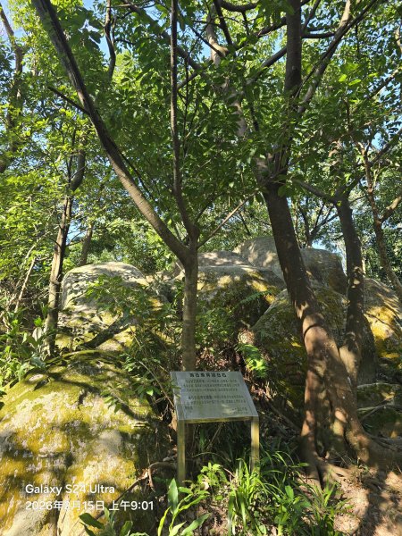 2026-02-15微笑山線：【天上山系】烘爐地土地公段3003981