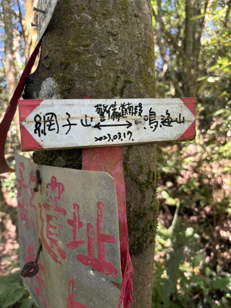 20251116鳴海山、網子山登山步道2938405