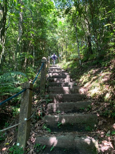 獅仔頭山/小百岳1453974