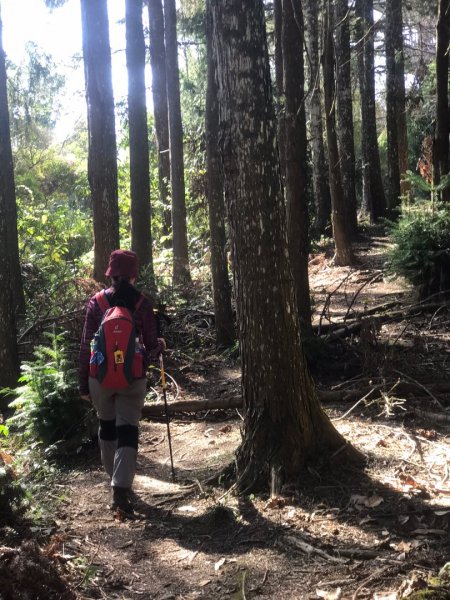 隱藏寧靜望美部落的望美山、望高寮、瓊山482448