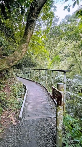 20220116_宜蘭中央公園、冬山河親水公園、林美盤石步道、羅東梅花湖步道1583956