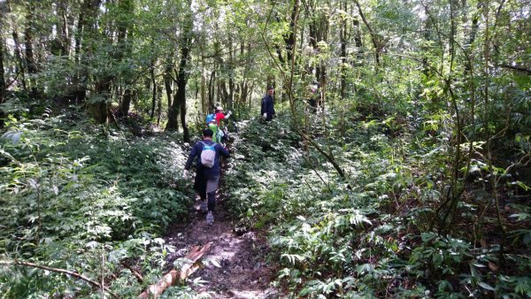 20181014日湯真山446490