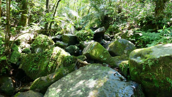 大湖尾,溪尾寮,藤寮坑古道2877523