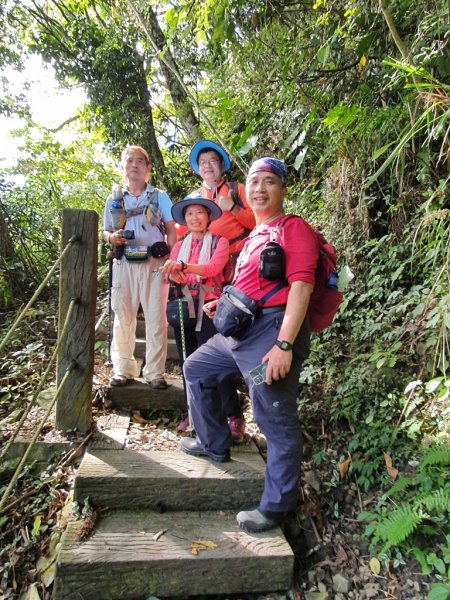 【雲嘉茶園之美】後棟山連走大二尖山1532224