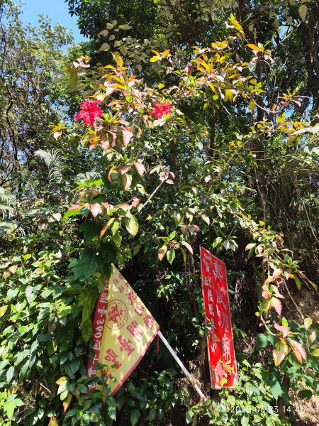 【臺北大縱走 5】碧山巖→忠勇山越嶺步道→金龍產業道路→圓明寺步道→鄭成功廟步道→文間山→劍潭山步道2744839