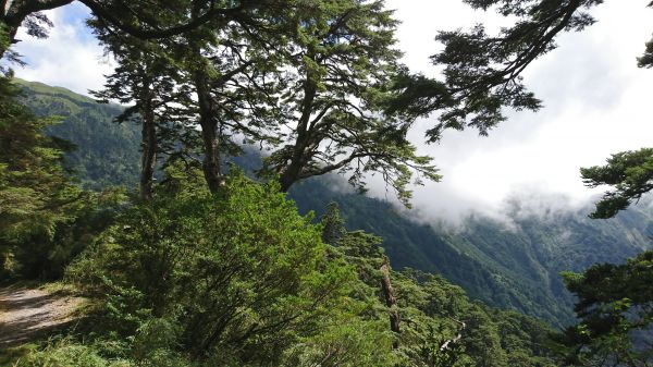 106.09.30~01 奇萊南峰、南華山176306