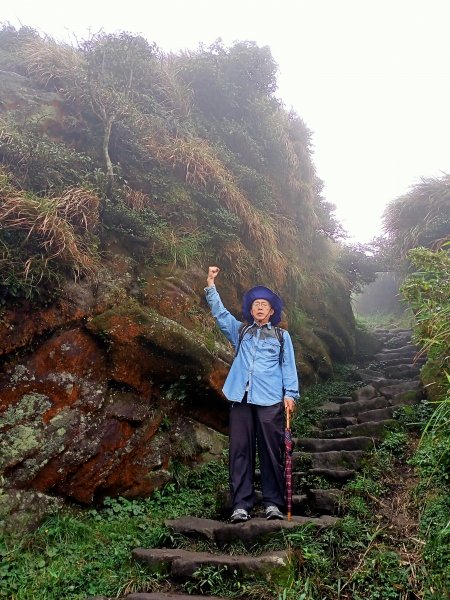 【臺灣百大必訪步道】七星山主、東峰步道1187468