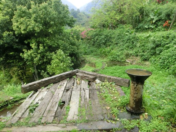 東昇步道．鼎筆橋步道．陽峰古道