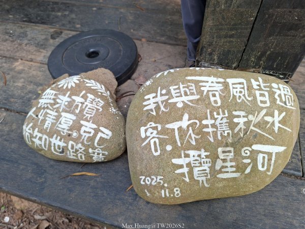 《台中》綠色隧道｜大肚環保公園登山步道O繞202604183038504