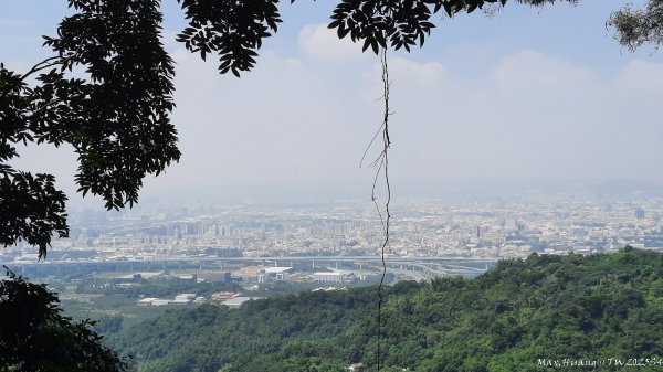 《台中》郊山飆汗｜潭子新田登山步道上聚興山O繞202510042904468