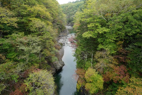 日本 北海道2908554