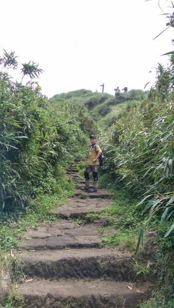 七星山東峰與主峰52474