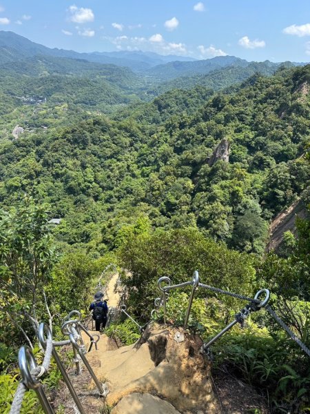 孝子山、普陀山、慈母峰賞鹿子野百合O走2592915