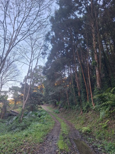 泰安麻必浩林道南坑山O型202502282724652