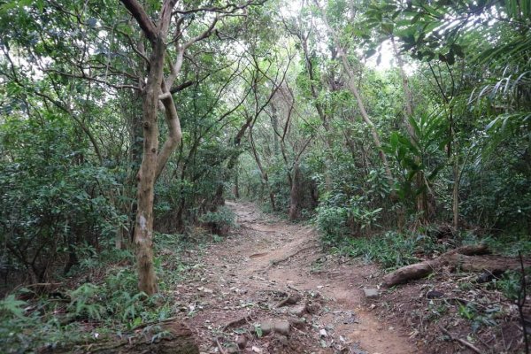 〔內湖〕文間山，劍南蝶園，劍潭古寺，婆婆橋 鄭成功廟步道2249267