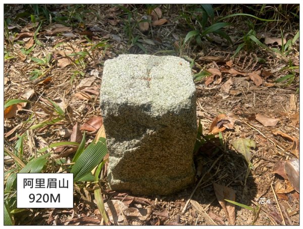 阿里眉山 (日月潭四姝的么妹)2753076