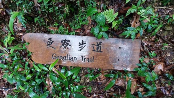 小百岳NO.14 深坑土庫岳。更寮古道 山豬窟尖，小南港山，南港山水綠生態公園2257359