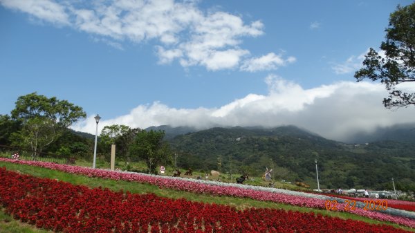 午餐的約會-北投三層崎/貴子坑845547