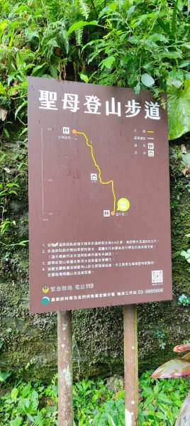 聖母登山步道2599811