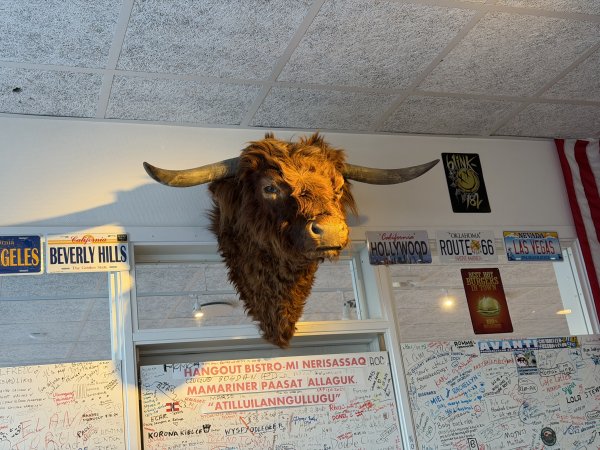 [紐約馬之行-31] 2025_1106 伊盧利薩特漢堡2947890