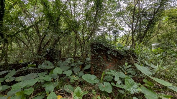114.06.07過港山-四腳亭砲台-深澳坑砲台山之旅2806566