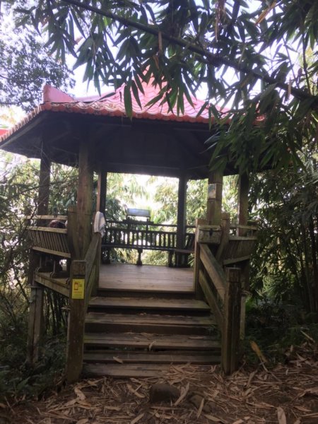 20181026-大凍山初登444947