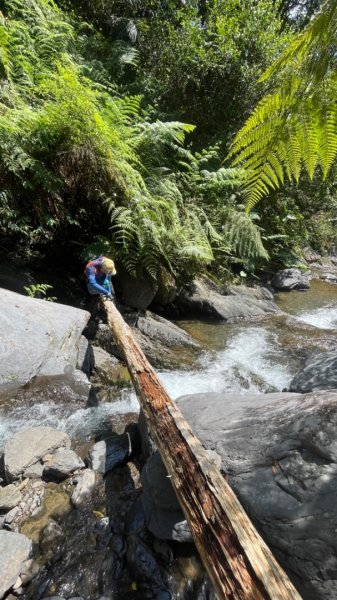 烏來阿玉溪山/西坑林道/探勘派出護管所彈藥庫遺址至獅坑橋2582006
