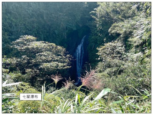 七星山步道、芒花搖曳3137684
