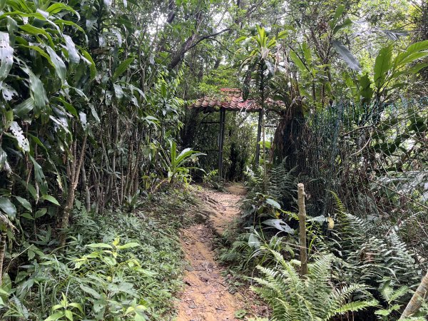 [微笑山線_第五段] 2025_0705 天上山系_南勢角山2830427