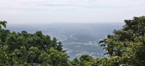 2026/05/24_大崎棟古道O型3066862