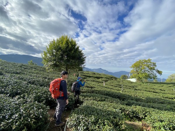 龍鳳、龍鳳峽、三叉崙、內樹皮、水桶寮、羊頭崙、志騰、竹崙、溪頭山九連峰縱走  2022/1/11570343