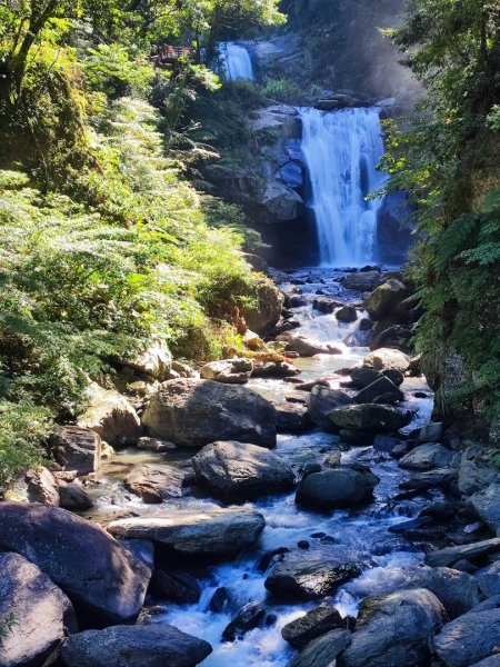 內洞國家森林遊樂區步道 - (新北)臺灣百大必訪步道2293048