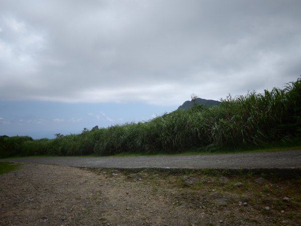 [淡蘭古道] 2026_0531 北路第一段_燦光寮古道(中)-陡坡3070877