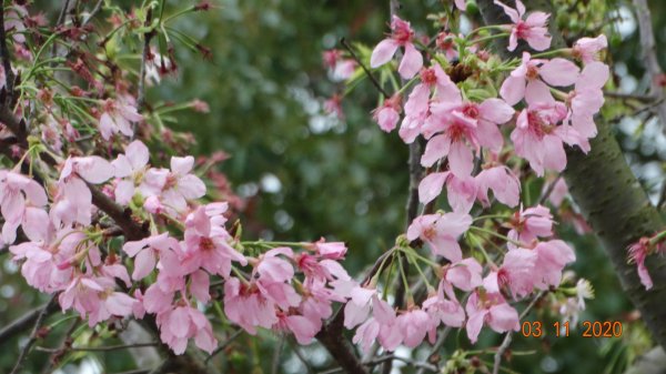 沒有意外，再度槓龜 !876577