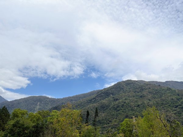 林田山林業文化園區2728239