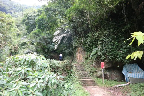 〔新店〕銀河洞越嶺步道 待老坑山 貓空  樟湖步道，繞8字路線2316859