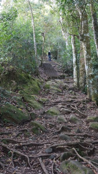 馬那邦山之楓222171