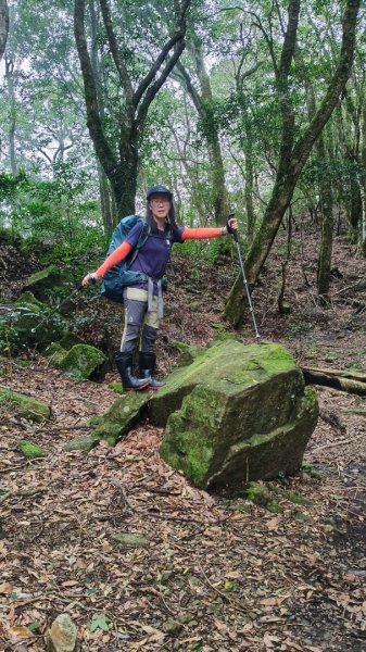 大混李棟重訓2883642