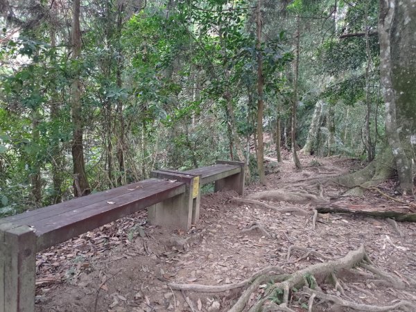 【新竹縣北埔鄉】五指山步道2833626