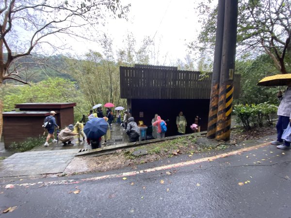 《2025草嶺古道芒花季｜雨天版完整攻略 × 七顆寶石路線實走》2949313