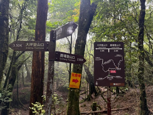 20250607 春谷養鱒場所上加里山 出大坪2805227