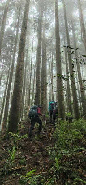縱走大鳥鵝2828399