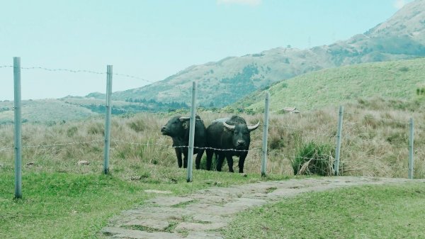 台北大縱走第三段紀錄853819
