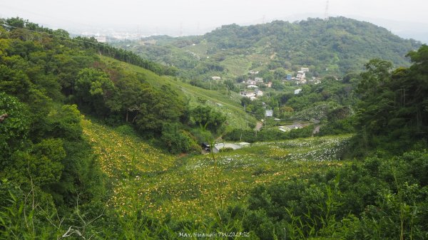 《台中》貓仔龍貓｜后里鳳凰山觀音山登山步道O繞202505042777242