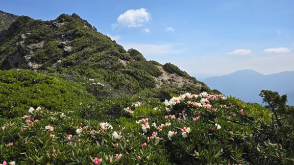 終於看到1000元背面的山景登頂玉山北峰／前峰2495918