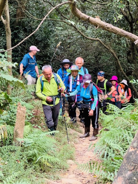 福人登山步道走大北坑小楊梅 O繞3129996