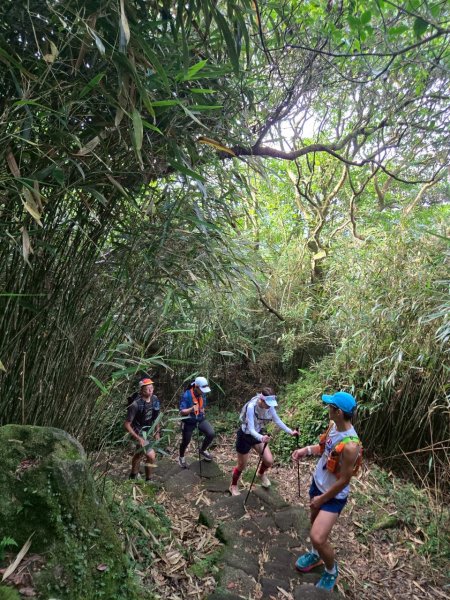 20250706_三進七星山2832363